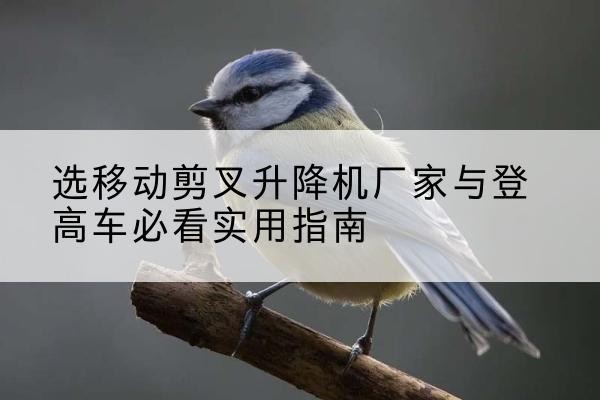 临桂电动升降机厂家-选移动剪叉升降机厂家与登高车必看实用指南