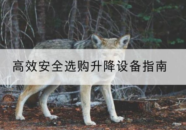 临桂升降货梯厂家推荐-*安全选购升降设备指南