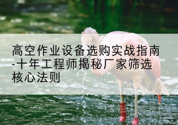 临桂剪叉式升降机厂家-高空作业设备选购实战指南-十年工程师揭秘厂家筛选核心法则